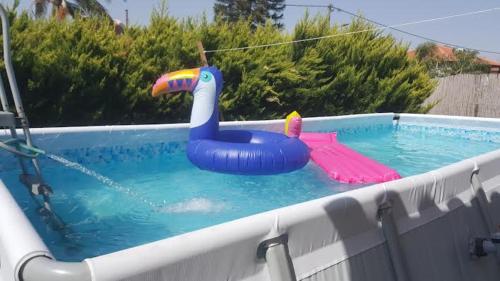 un flotador de cisne de plástico en una piscina en יחידות נופש ואירוח שרונה בגבעת אבני, en Giv'at Avni