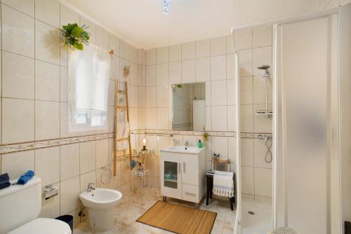 La salle de bains est pourvue de toilettes, d'un lavabo et d'une douche. dans l'établissement Casa Siryo, à Castillo del Romeral