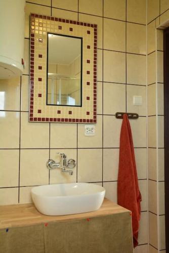 a bathroom with a sink and a mirror at Dom nad jeziorem Granicznym in Stary Żabin