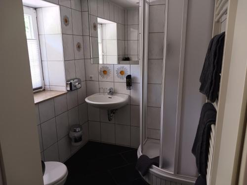 a bathroom with a sink and a shower and a toilet at Hotel Forsthaus Glüsing in Schnakenbek