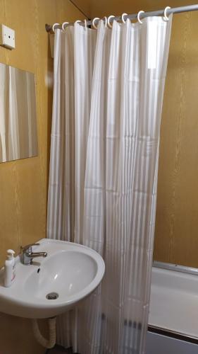 baño con lavabo y cortina de ducha en BYT POD ZÁMKEM, en Valtice