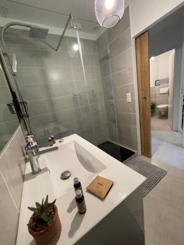 La salle de bains est pourvue d'un lavabo blanc et d'une douche. dans l'établissement CLéMenCeau - MaRaiS - CaThéDraLe, à Bourges
