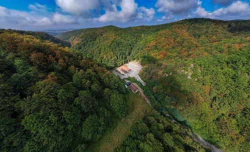 an aerial view of a house in the middle of a forest at Pensiunea Perla Codrului in Meziad