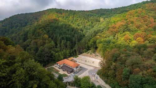 an aerial view of a house in the middle of a forest at Pensiunea Perla Codrului in Meziad