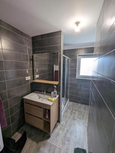 une salle de bain avec un lavabo et un miroir dans l'établissement Maison à côté de la mer, à Flamanville