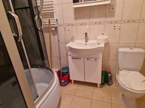 Apartament u Margherity في أنسكو: حمام مع مرحاض ومغسلة ودش