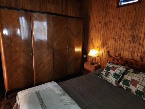 1 dormitorio con 1 cama, lámpara y paredes de madera en La cabaña de Tito. en Ciudad Lujan de Cuyo