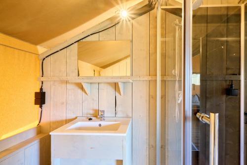 a bathroom with a sink and a mirror at Glamping Valkenburg in Meerssen
