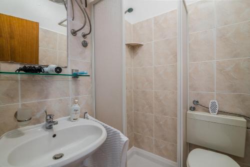 La salle de bains est pourvue d'un lavabo et d'une douche. dans l'établissement Apartment Dinka, à Čižići