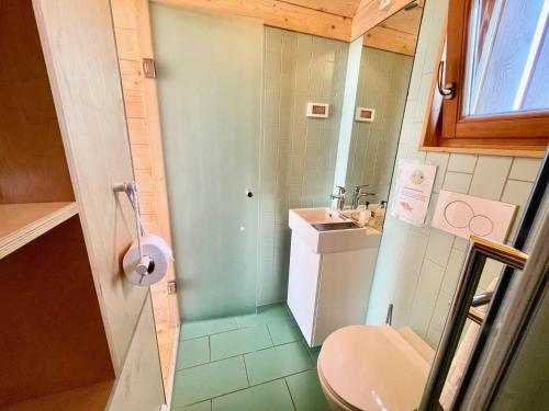 een kleine badkamer met een toilet en een wastafel bij Lushna 3 Petite at Lee Wick Farm Cottages & Glamping in Clacton-on-Sea