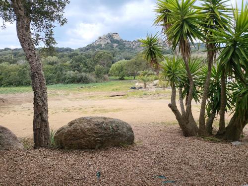 La RoseDan – Photos 3