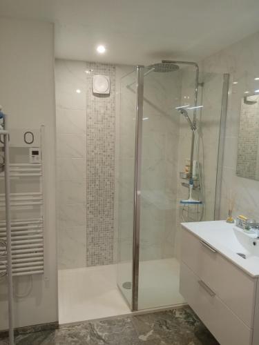 une salle de bain avec douche et lavabo dans l'établissement Hentig ar Feunteun, à Plouaret