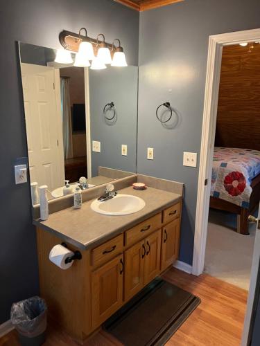 ein Bad mit einem Waschbecken, einem Spiegel und einem Bett in der Unterkunft The Grindle Bridge Cabin in Dahlonega