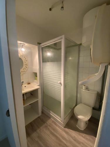 W łazience znajduje się prysznic, toaleta i umywalka. w obiekcie Chez Émilie w mieście Cavaillon