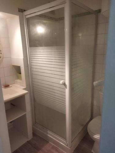 W łazience znajduje się przeszklony prysznic i toaleta. w obiekcie Chez Émilie w mieście Cavaillon