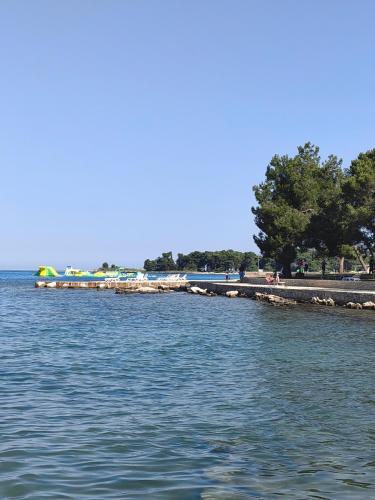 a large body of water with trees and a dock at Sea View Apartment & Studio Apartment Bruno Umag in Umag