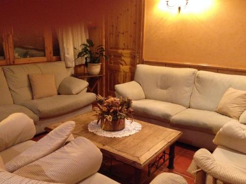 a living room with couches and a coffee table at Hotel Estanys Blaus in Tavascan