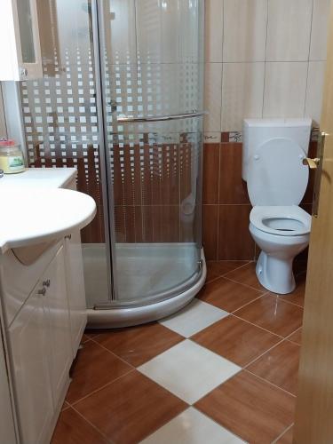 a bathroom with a shower and a toilet and a sink at Apartma Mira in Zgornje Škofije