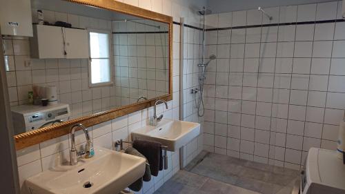 a bathroom with a sink and a mirror at Salzachblick in Salzburg