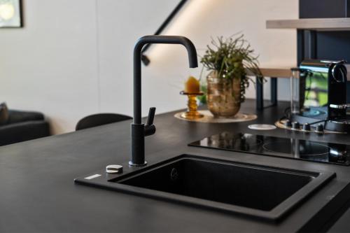 un bancone della cucina con lavandino e rubinetto di KODA LOFT EXTENDED - Urlaub im Tiny House Bodensee a Lauterach