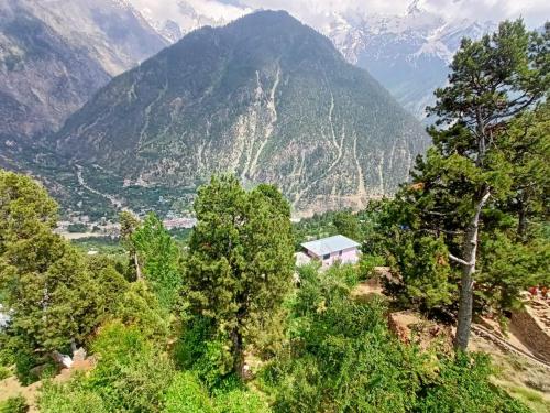 a view of a mountain with trees and a house at The Shudarang Inn in Kalpa