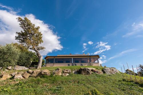 a house on top of a hill with a tree at Agriturismo La Meria in Semproniano