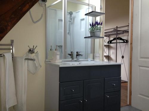 a bathroom with a sink and a mirror at Entre Lot et Dordogne in Saint-Cirq-Madelon