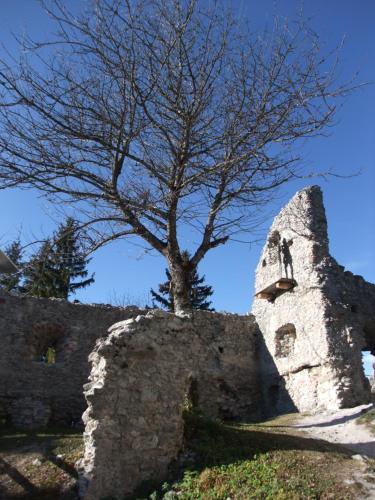 a tree sitting on top of a stone wall at Ferienwohnung Morgenrot in Pfronten