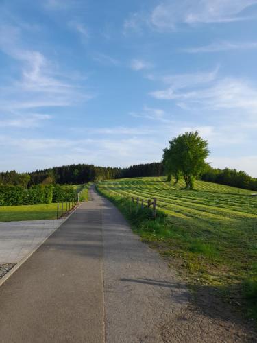 a road leading into a field with a tree at L'Écureuil - Terrasses de Malmedy in Malmedy