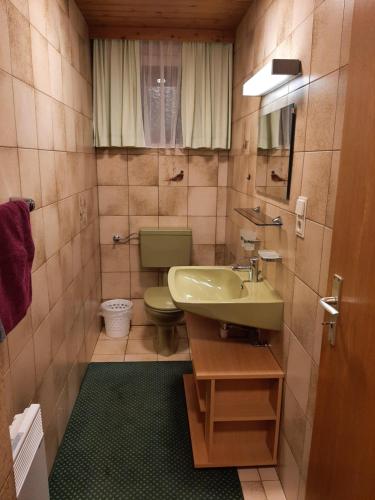 a bathroom with a green sink and a toilet at Ferienwohnungen Pollhammer in Sankt Gallenkirch