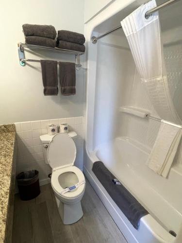 a bathroom with a toilet and a bath tub at Lake Bluff Inn and Suites in South Haven