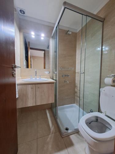 a bathroom with a shower and a toilet and a sink at Departamentos en Tupungato in Tupungato