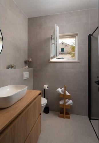 a bathroom with a sink and a toilet and a window at Villa Olim Civitas in Škrip