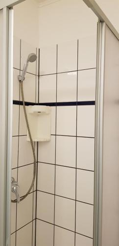 a shower in a bathroom with white tiles at Villa Hoffnung in Bad Elster