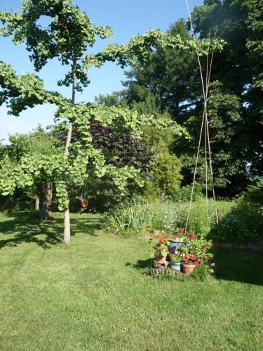 un jardin avec une balançoire et des fleurs dans l'herbe dans l'établissement Rendez-vous au jardin, à Notre Dame-de-lʼOsier