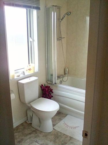 a bathroom with a toilet and a shower and a window at LakeView Lodge Trevella Park in Crantock