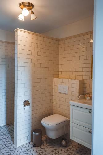 a bathroom with a toilet and a sink at Ostoja Zielonki in Węgorzewo
