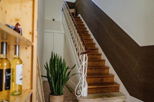 uma escada numa casa com uma planta em A Casa Brava em Santarém