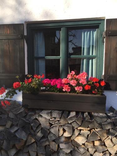 uma janela com um ramo de flores numa caixa de janela em Historisches Refugium in der Altstadt von Ebersberg em Ebersberg