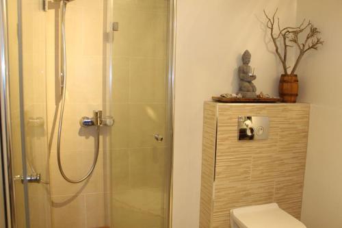 uma casa de banho com um chuveiro, um WC e um lavatório. em Finca DIDA em Brštanovo