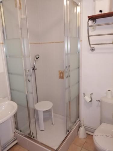 une salle de bain avec une douche avec des toilettes et un lavabo dans l'établissement Belle villa climatisée 3 chambres, véranda, terrasse arborée dans résidence sécurisée avec piscine commune 800m de la mer WIFI Un vrai Havre de Paix LRCS98, à Portiragnes