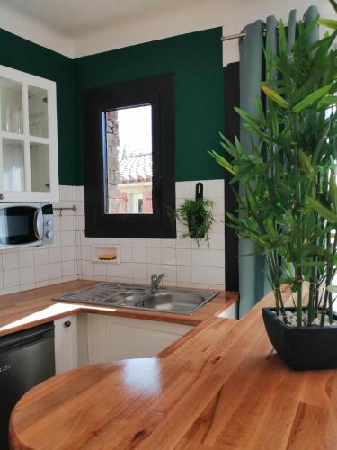 a kitchen with a sink and a potted plant on a wooden table at Alicia in Camélas