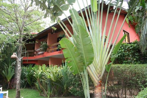 a building with a bunch of plants in front of it at Hotel Napoleon Lagune in Lomé