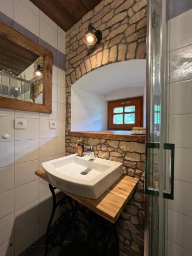 a bathroom with a sink and a mirror at Little Cottage No.100 in Vidochov