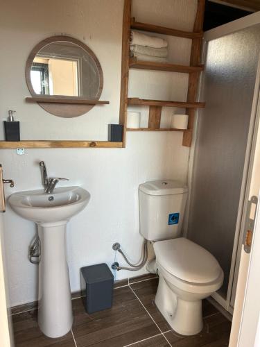 a bathroom with a toilet and a sink and a mirror at Orman ile iç içe ağaç ev in Ula