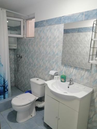 a bathroom with a toilet and a sink at Casa Alexandru in 2 Mai