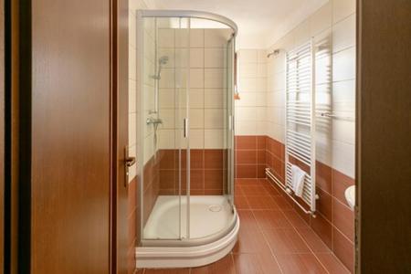 a bathroom with a shower with a glass door at ONYX Penzión in Dudince