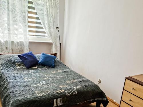 グダニスクにあるApartament Plaza43のベッドルーム1室(青い枕のベッド1台付)