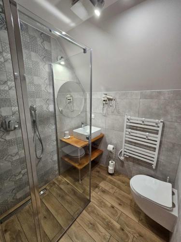 a bathroom with a shower and a toilet and a sink at Angela Domki i Pokoje in Pobierowo
