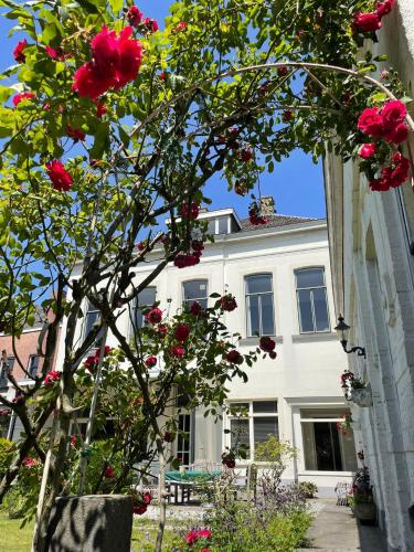 a white house with red roses in front of it at Bed & Breakfast By Genck in Oudenbosch